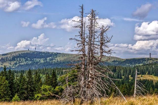 Bergsee Schluchsee Zewnętrze zdjęcie