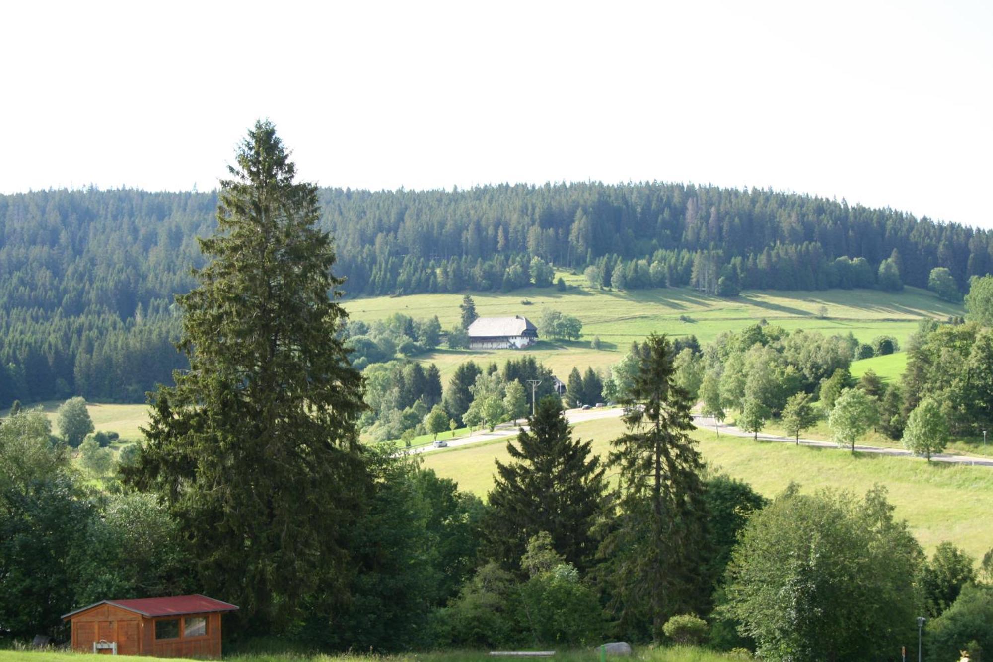 Bergsee Schluchsee Zewnętrze zdjęcie